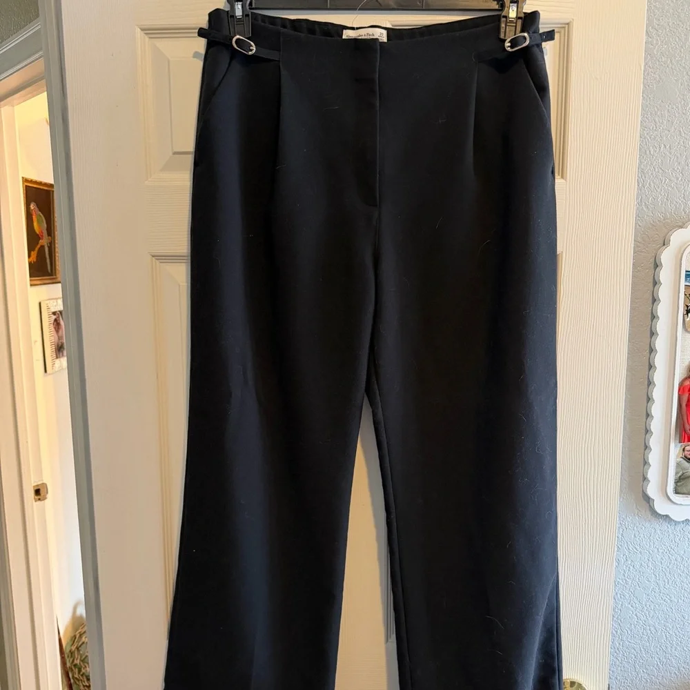 Abercrombie Sloane Tailored Wide Leg Pant - Picture 1 of 3